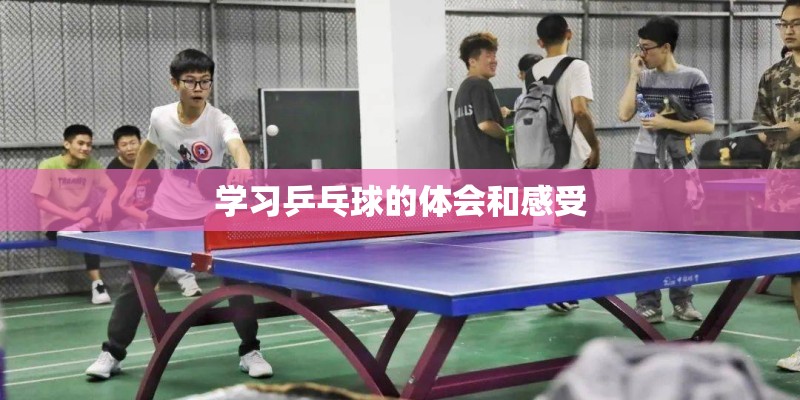 学习乒乓球的体会和感受