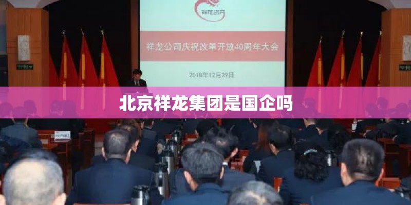 北京祥龙集团是国企吗