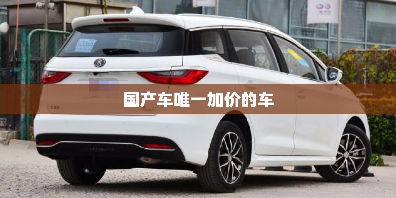 国产车唯一加价的车