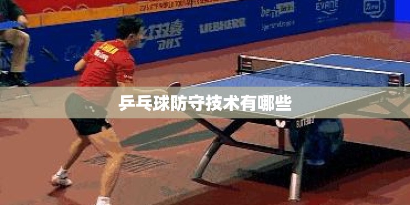 乒乓球防守技术有哪些