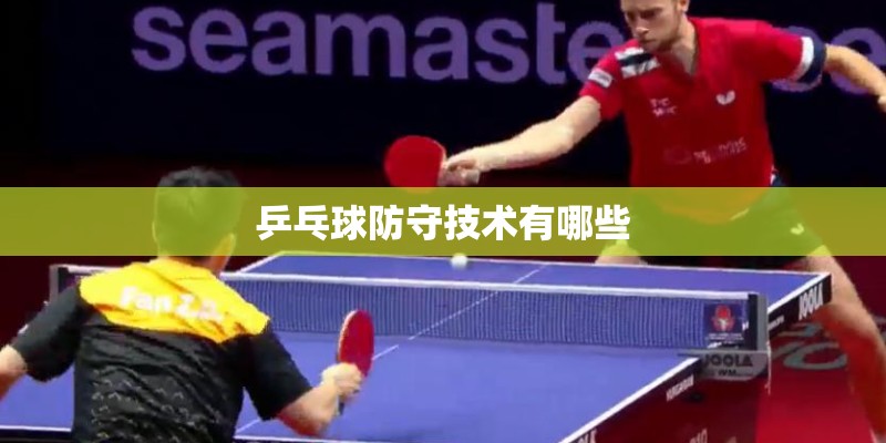 乒乓球防守技术有哪些