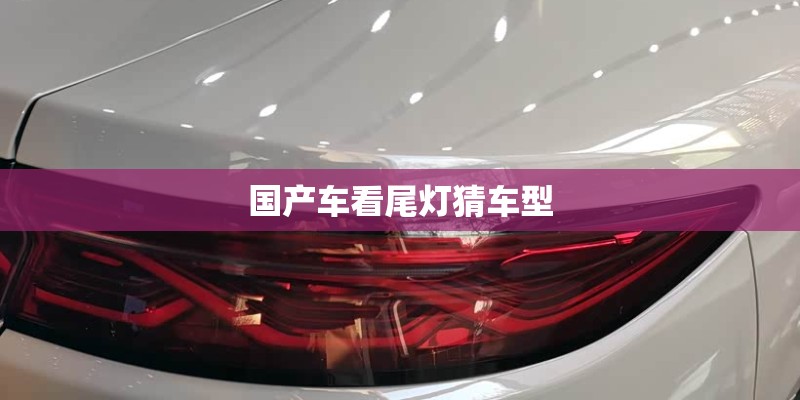 国产车看尾灯猜车型