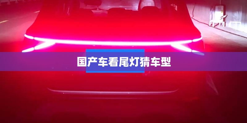 国产车看尾灯猜车型