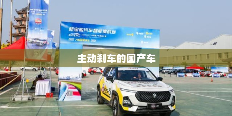 主动刹车的国产车