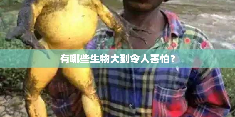 有哪些生物大到令人害怕？