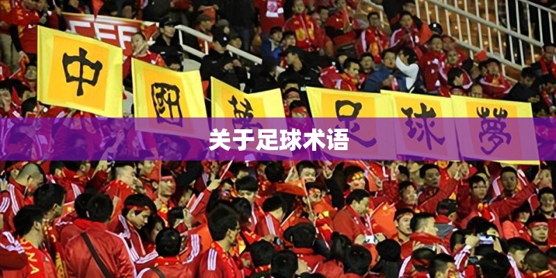 关于足球术语