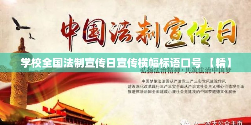 学校全国法制宣传日宣传横幅标语口号 【精】