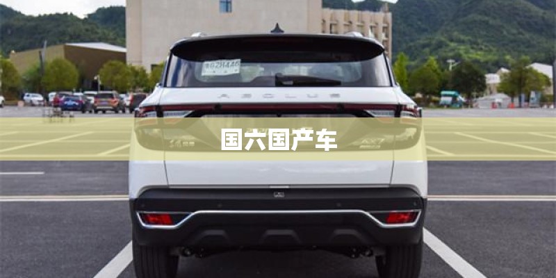 国六国产车