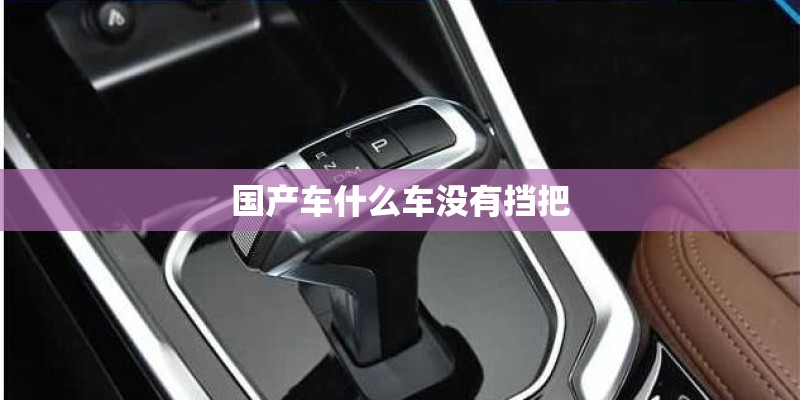 国产车什么车没有挡把