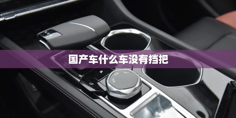 国产车什么车没有挡把
