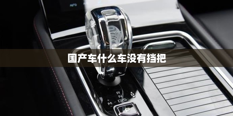 国产车什么车没有挡把