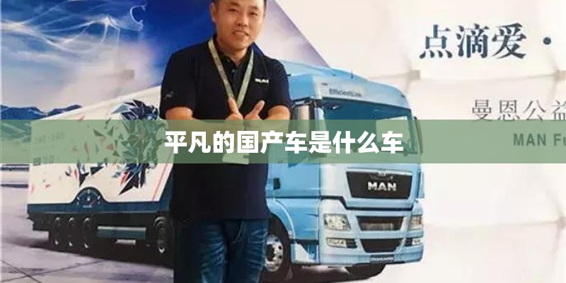 平凡的国产车是什么车
