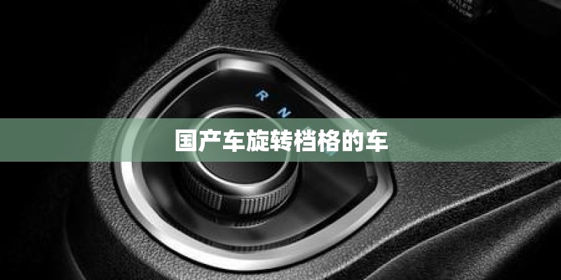 国产车旋转档格的车