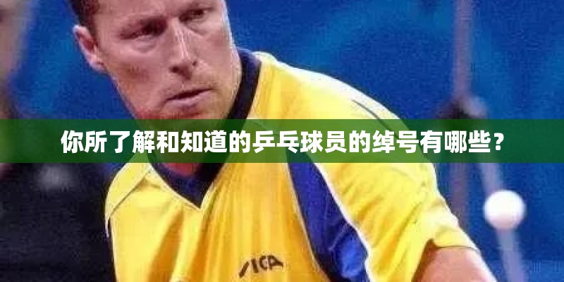 你所了解和知道的乒乓球员的绰号有哪些？