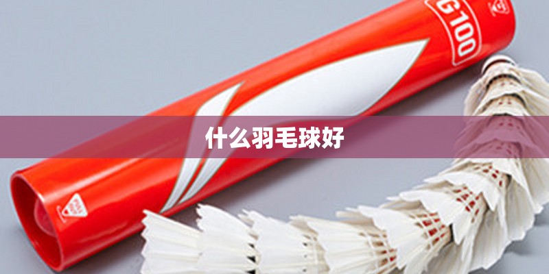 什么羽毛球好