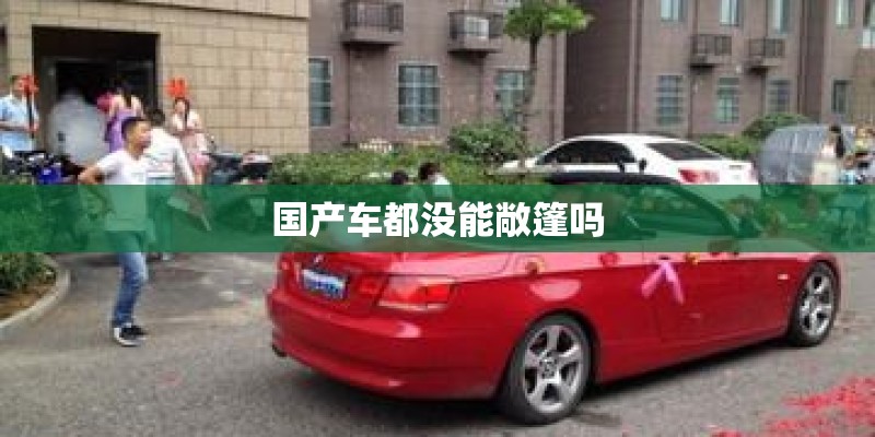 国产车都没能敞篷吗