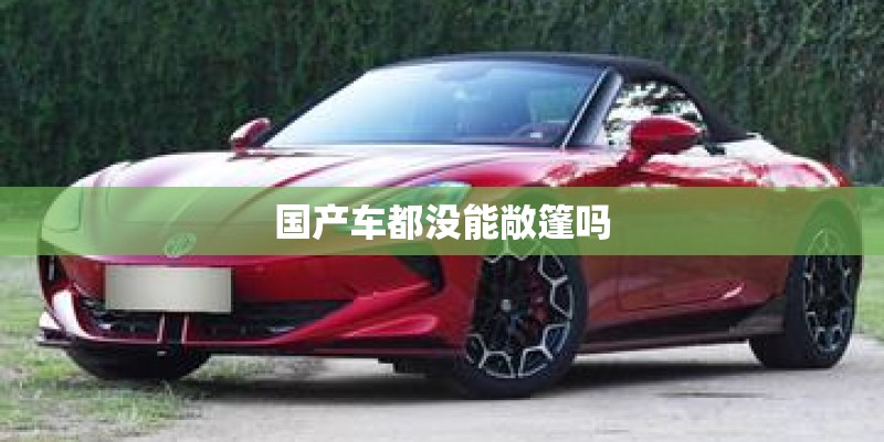 国产车都没能敞篷吗