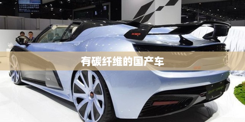 有碳纤维的国产车