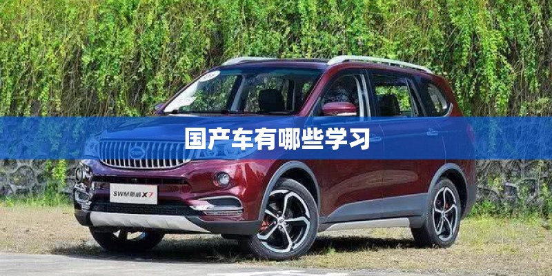 国产车有哪些学习
