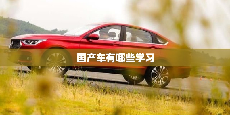 国产车有哪些学习