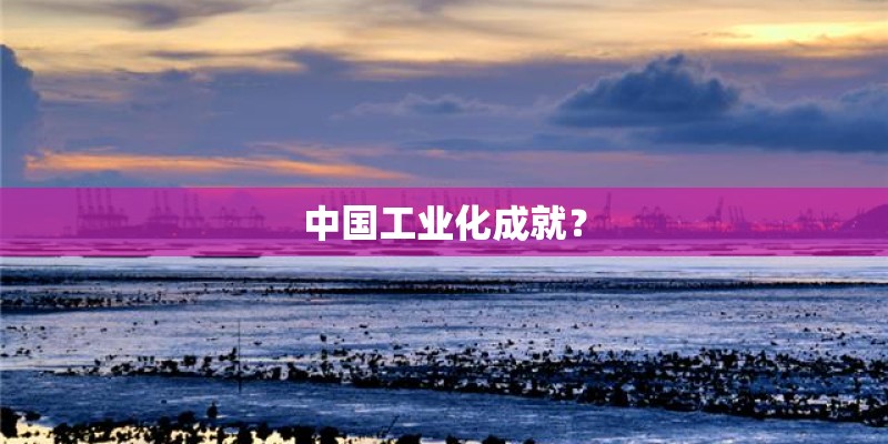 中国工业化成就？