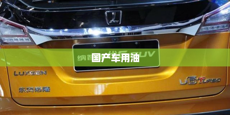 国产车用油