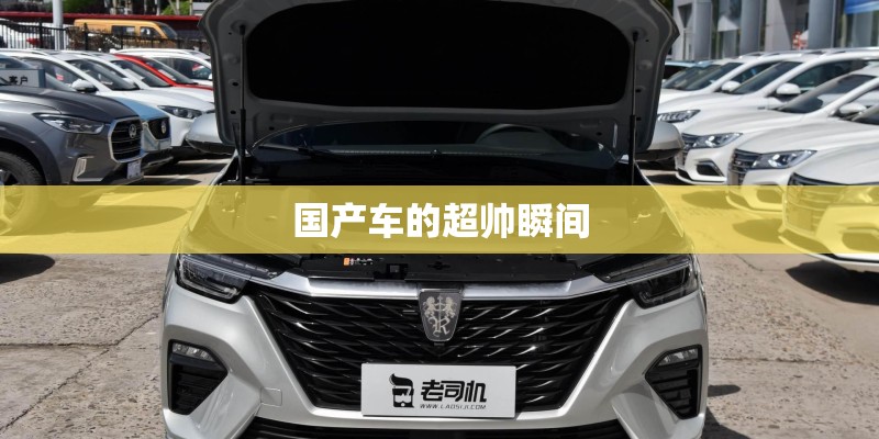国产车的超帅瞬间