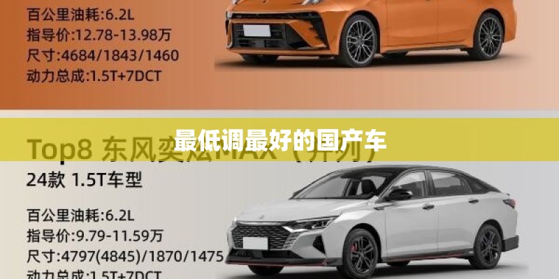 最低调最好的国产车