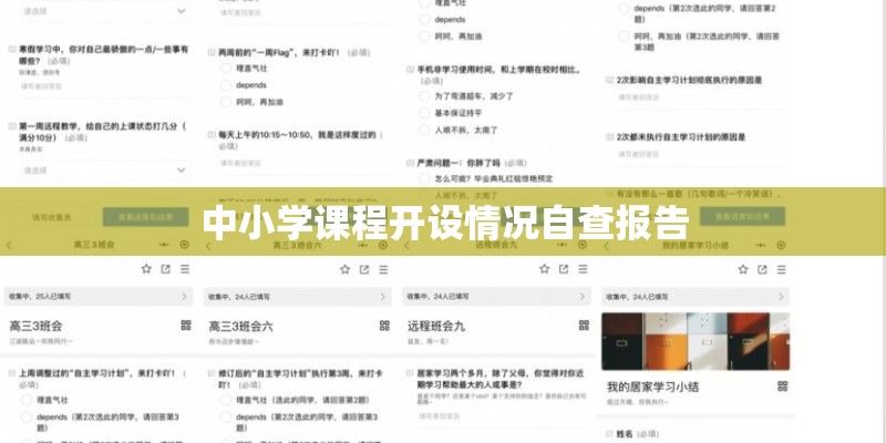中小学课程开设情况自查报告
