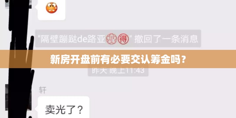 新房开盘前有必要交认筹金吗? 新房开盘前有必要交认筹金吗?
