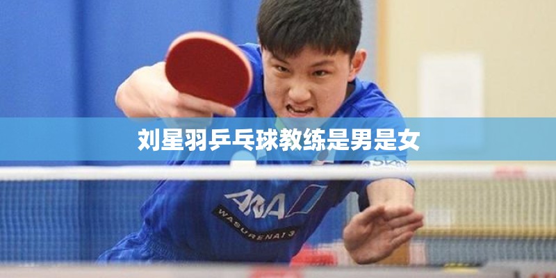 刘星羽乒乓球教练是男是女