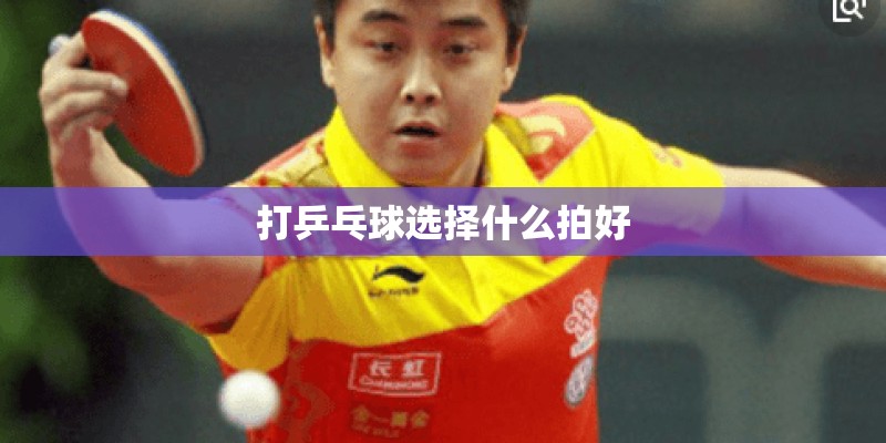 打乒乓球选择什么拍好