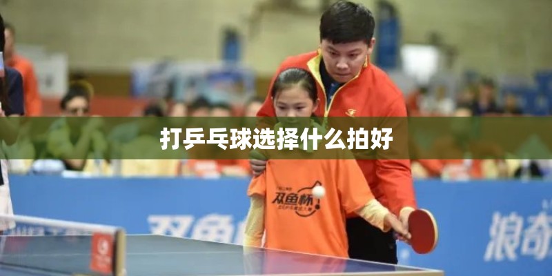 打乒乓球选择什么拍好