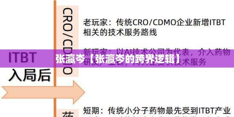 张瀛岑【张瀛岑的跨界逻辑】