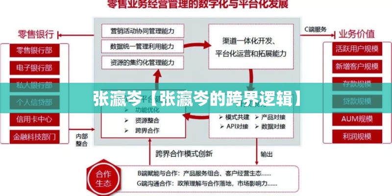 张瀛岑【张瀛岑的跨界逻辑】