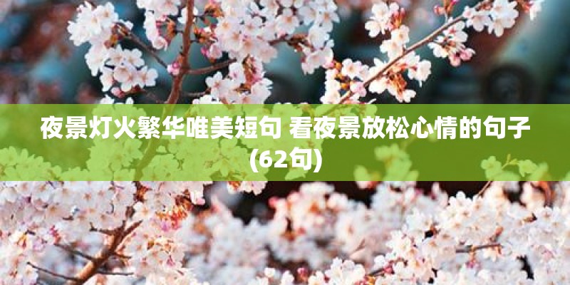 夜景灯火繁华唯美短句 看夜景放松心情的句子(62句)