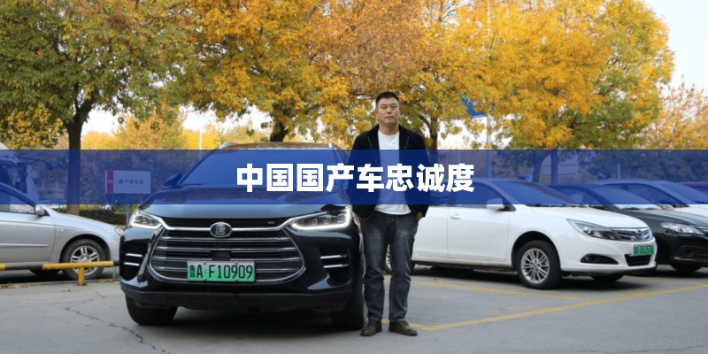 中国国产车忠诚度
