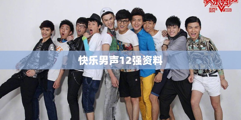 快乐男声12强资料