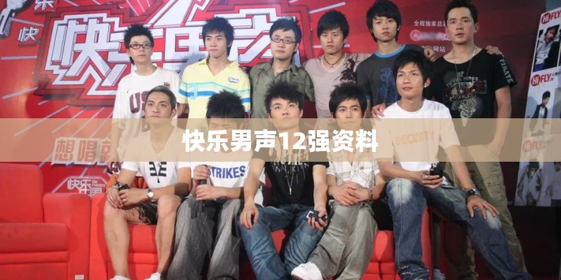 快乐男声12强资料