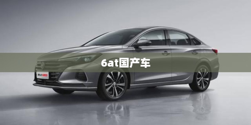 6at国产车 6at国产车