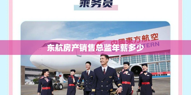东航房产销售总监年薪多少
