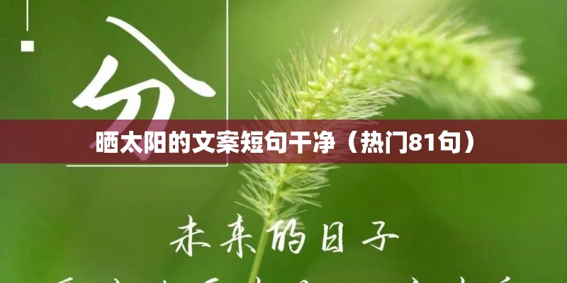 晒太阳的文案短句干净（热门81句）
