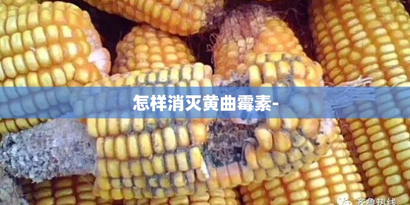 怎样消灭黄曲霉素-