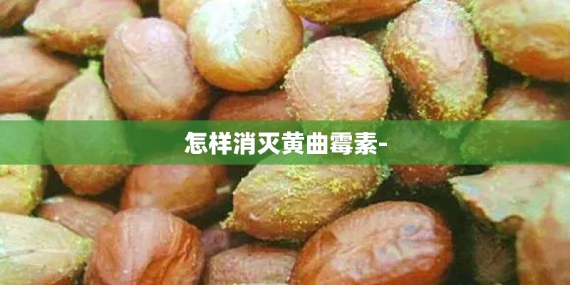 怎样消灭黄曲霉素-