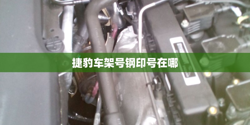 捷豹车架号钢印号在哪