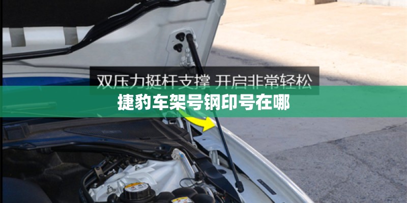 捷豹车架号钢印号在哪