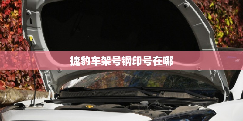 捷豹车架号钢印号在哪