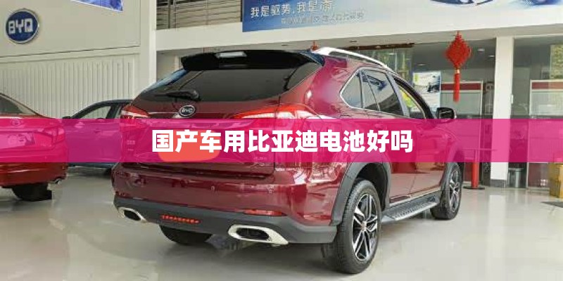 国产车用比亚迪电池好吗