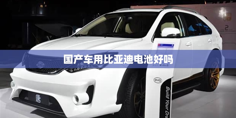 国产车用比亚迪电池好吗
