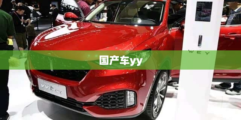 国产车yy